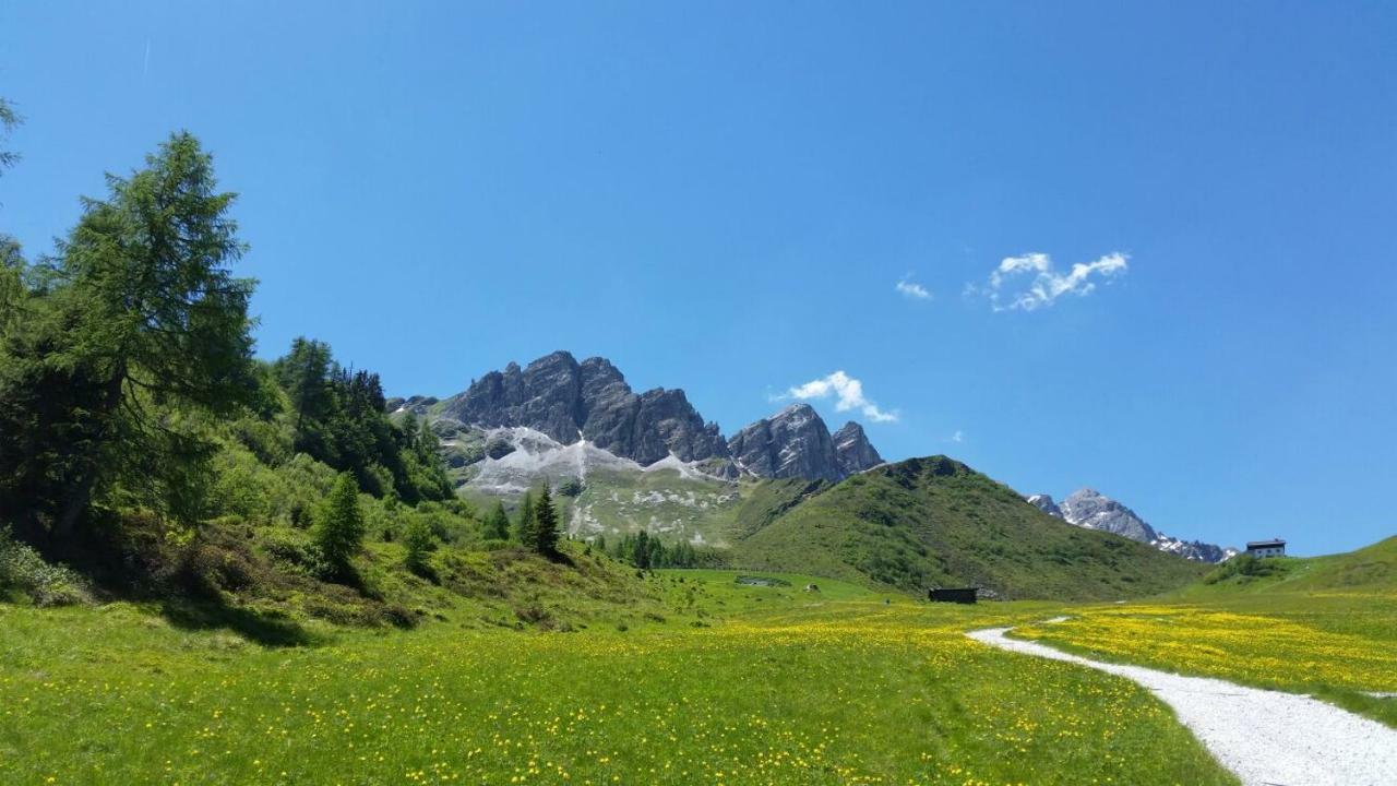 Edelweisshuette Ladurns Hotel *